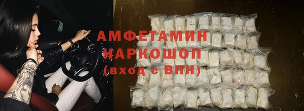 индика Бугульма