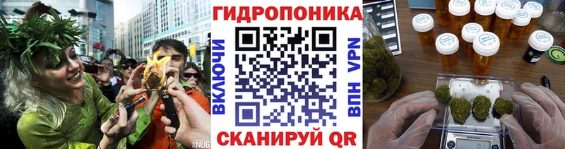 Бошки марихуана план  Качканар 
